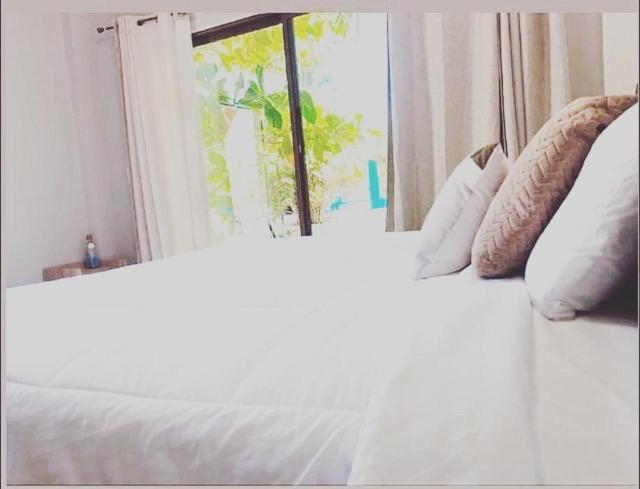 Sambo Mambo Beach Hotel 엘 쿠코 외부 사진