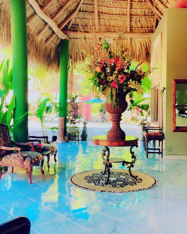 Sambo Mambo Beach Hotel 엘 쿠코 외부 사진