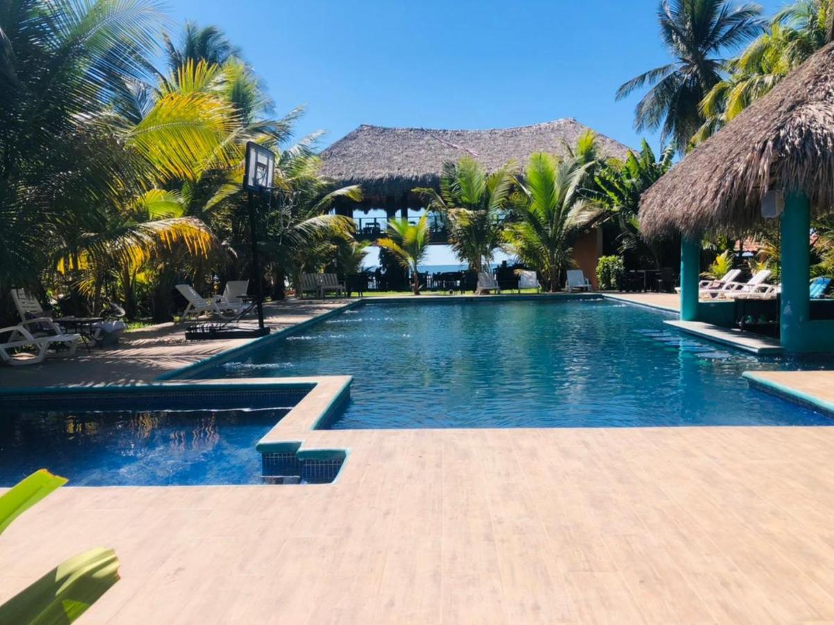 Sambo Mambo Beach Hotel 엘 쿠코 외부 사진